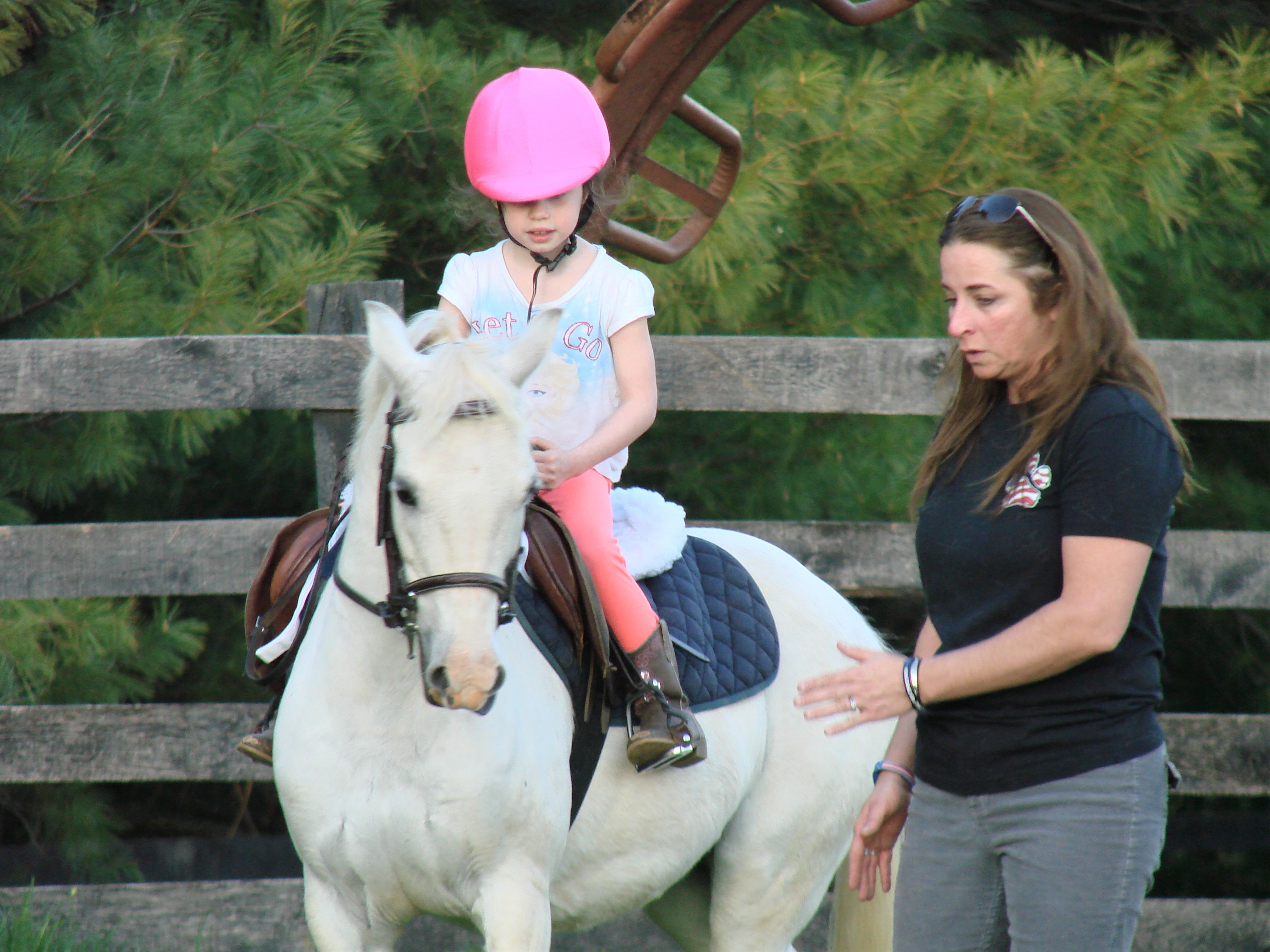 Lessons With Liv Canter Point Stables