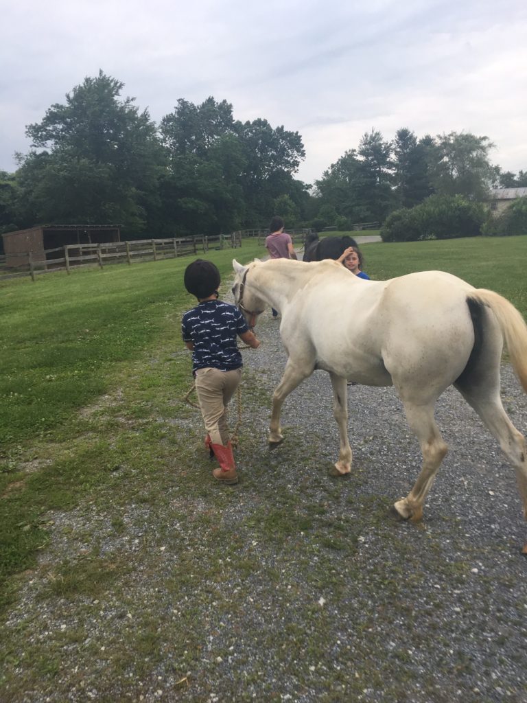 students turn out their own ponies after riding lessons