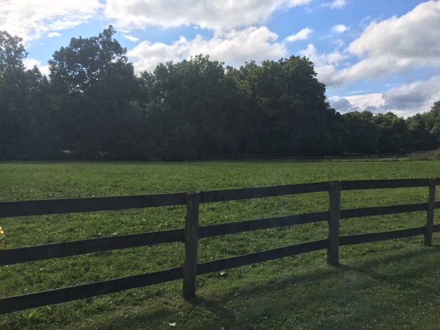 back pasture | Canter Point Stables